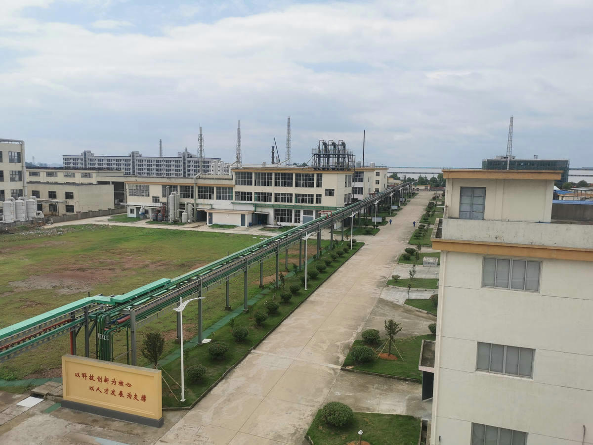 企業展示